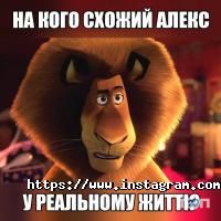 Ігрові комплекси Замкнені фото