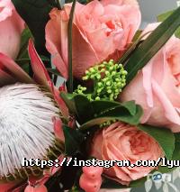 відгуки про Лютик фото