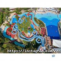 відгуки про Neon Typ фото