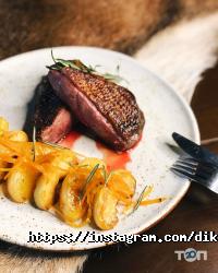 відгуки про Дика качка фото