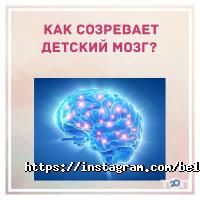 Белая Медведица отзывы фото