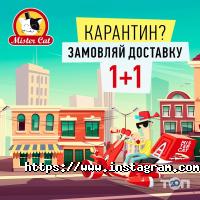 Mister Cat відгуки фото