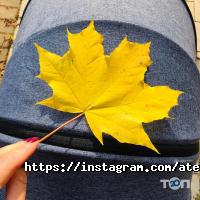 відгуки про Панда фото