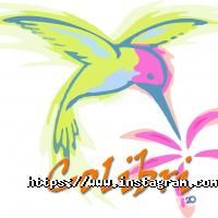 Колибри Киев фото