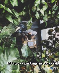 Smorrebrod відгуки фото