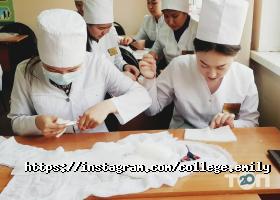 Колледжи, училища, техникумы Эмили фото