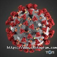 Прокат автомобілів CATCAR фото