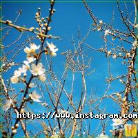 Едем, база відпочинку фото