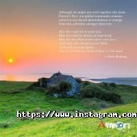 Alltech, сельско-хозяйственные базы фото