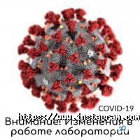 Bald відгуки фото