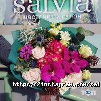 Магазини квітів Salvia фото