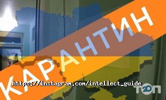 Intellect guide, консультант з освіти за кордоном фото