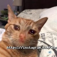 Салони краси Manik 4 U фото