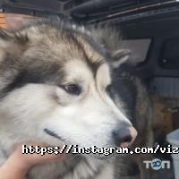отзывы о Византия фото