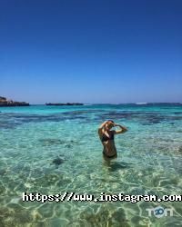 Paradise Travel отзывы фото