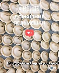 Mollis Астана фото