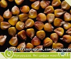 Агроген Ново Харків фото