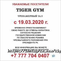 TIGER GYM отзывы фото