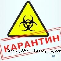 проспект відгуки фото