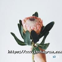 Buzina, організація свят фото