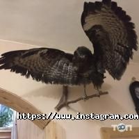 SkyDrive такси Харьков фото