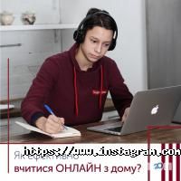 відгуки про Study Academy фото