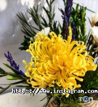 Etoile Flora, студія дизайну фото