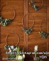 відгуки про Alex Studio фото