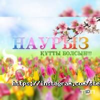 Stekolkino отзывы фото