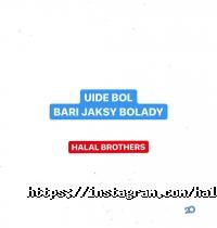 отзывы о HALAL BROTHERS фото