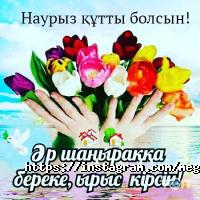 МЕГА ИНТЕЛЛЕКТ отзывы фото
