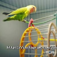 відгуки про Vetbio фото