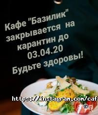 відгуки про Базилік фото