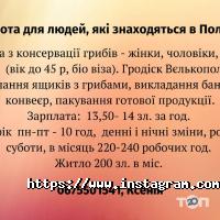 Работа за границей Сас интернешнл групп украина фото