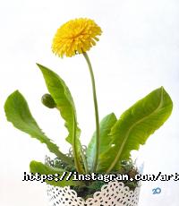 Art-palitra відгуки фото