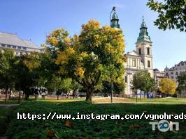 Адвокат Виноградський Антон Павлович відгуки фото