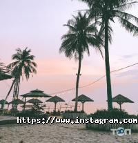 Van der Tour отзывы фото