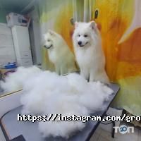 Зоомагазины и услуги для животных Celebrity Pets фото