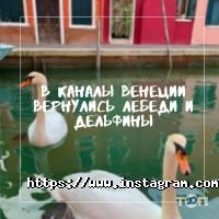 відгуки про Турне-М фото