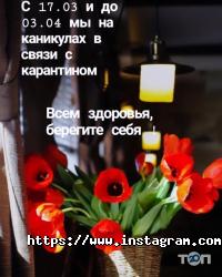 Alex Studio відгуки фото