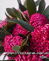 Missis Norris, салон квітів і подарунків фото