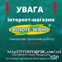 Місцевий виробник Золоте зерно фото