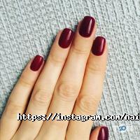 відгуки про Provence nail bar фото