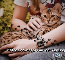 відгуки про Звірополіс фото