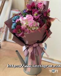 Квасоля Одеса фото