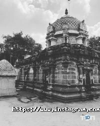 Інсайт Миколаїв фото