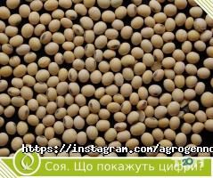 Агроген Ново, ветеринарно-діагностичний центр фото
