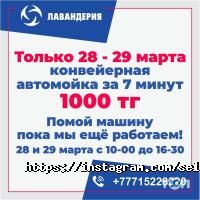 отзывы о Лавандерия фото