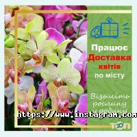 Земля X отзывы фото