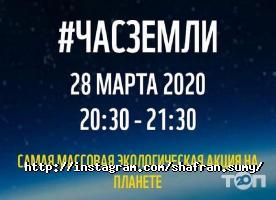 Рестораны Шафран фото